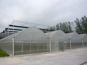 Thin film connected Greenhouse
